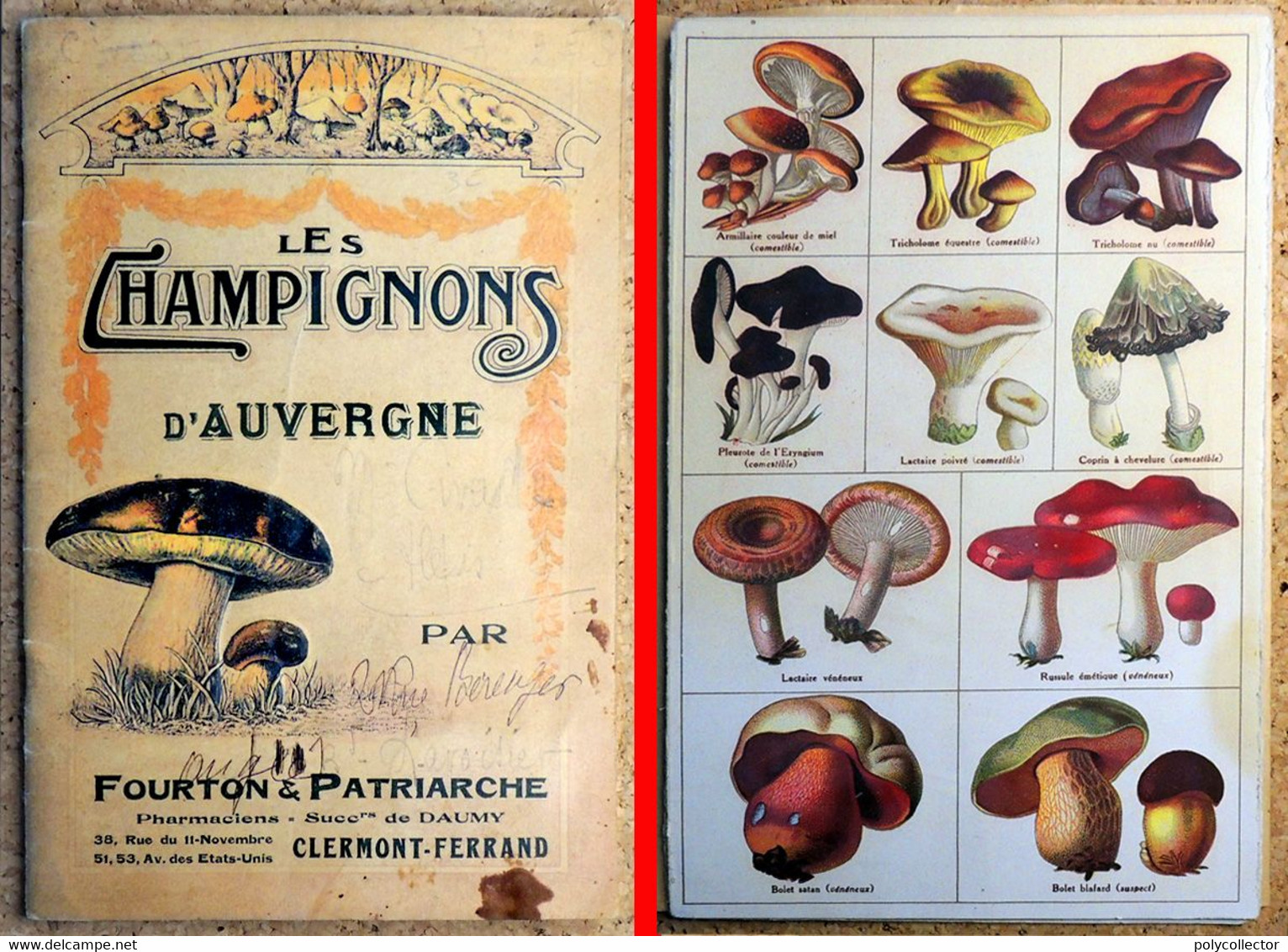 Champignons D'Auvergne De FOURTON & PATRIARCHE Pharmaciens à Clermont-Ferrand Début XX° Siècle - Auvergne