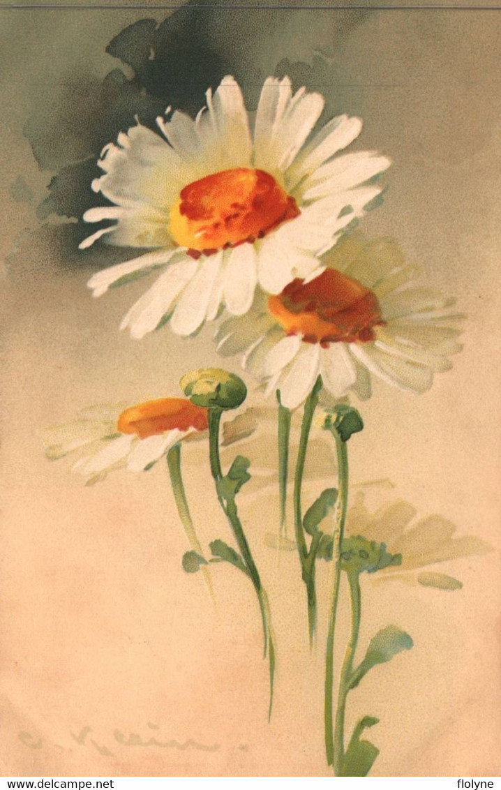 Catharina KLEIN - Cpa Illustrateur - Fleur Pâquerettes - Flowers - Klein, Catharina