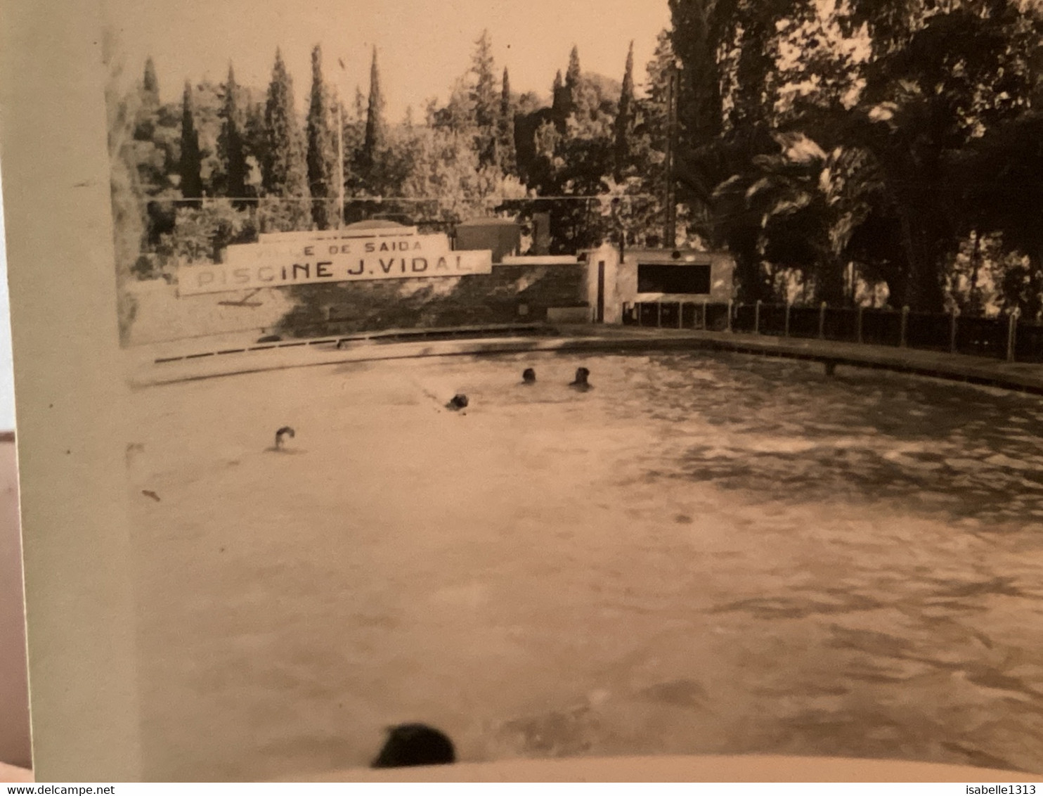 Photo Noir Et Blanc, 1940, Algérie Saida Hommes, Femmes, Enfants à La Piscine Vidal En Train De Nager - Saïda