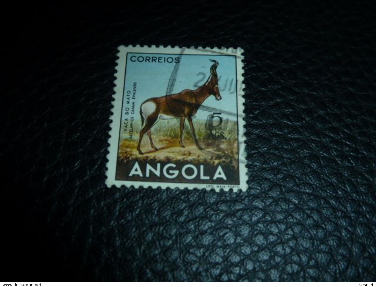 Angola - Vaca Do Mato - Alcelaphus Caama Evalensis - 5 Ags - Yt 371 - Multicolore - Oblitéré - Année 1953 - - Angola