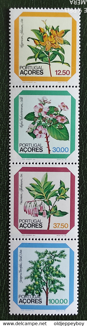 Açores Portugal Flore Fleurs Genévriers Millepertuis Flora Flowers Roses Blueberries Blüte Flores Fiori ** 1983 Carnet - Medicinal Plants