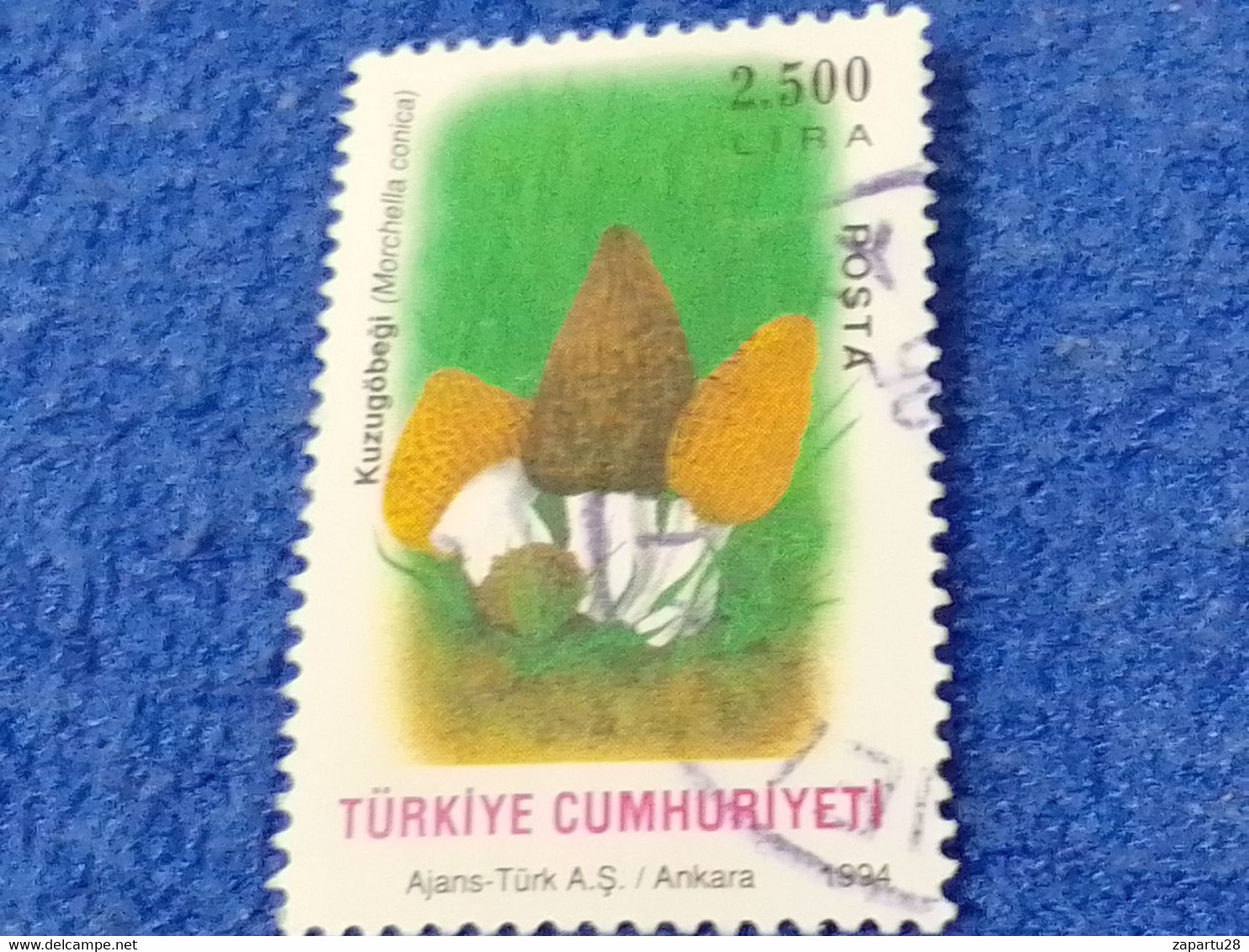 TÜRKEY--1990- 00  -      2500TL      DAMGALI - Gebraucht