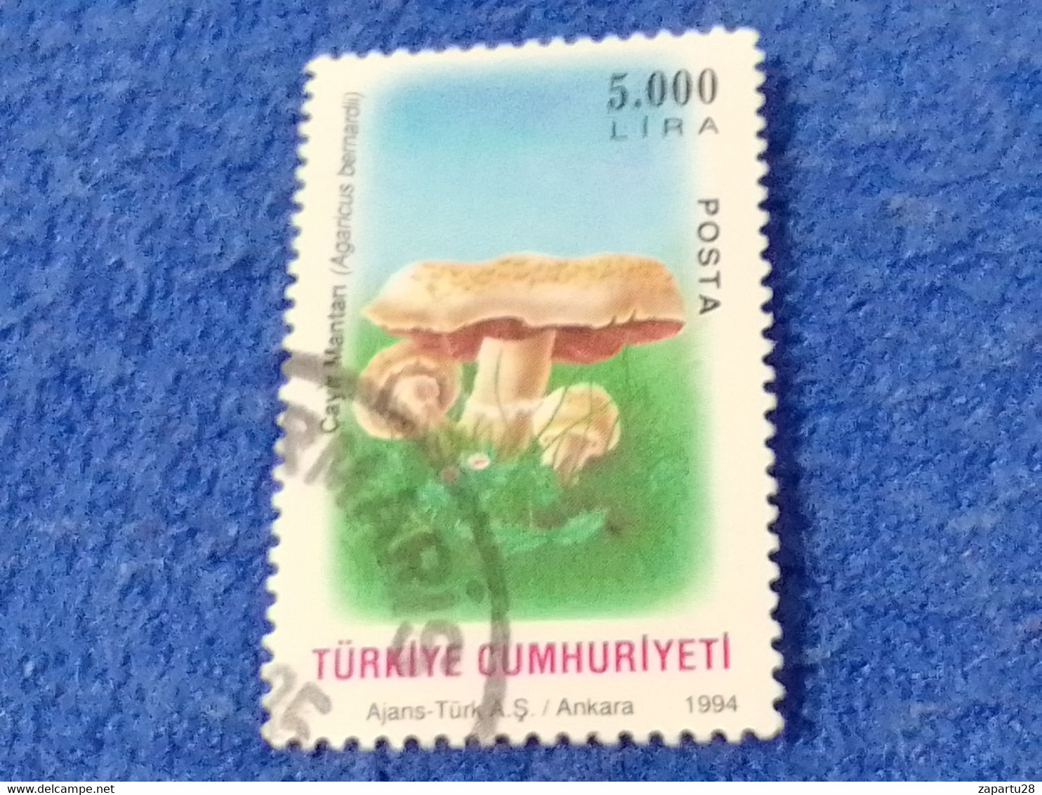 TÜRKEY--1990- 00  -      5000TL      DAMGALI - Oblitérés