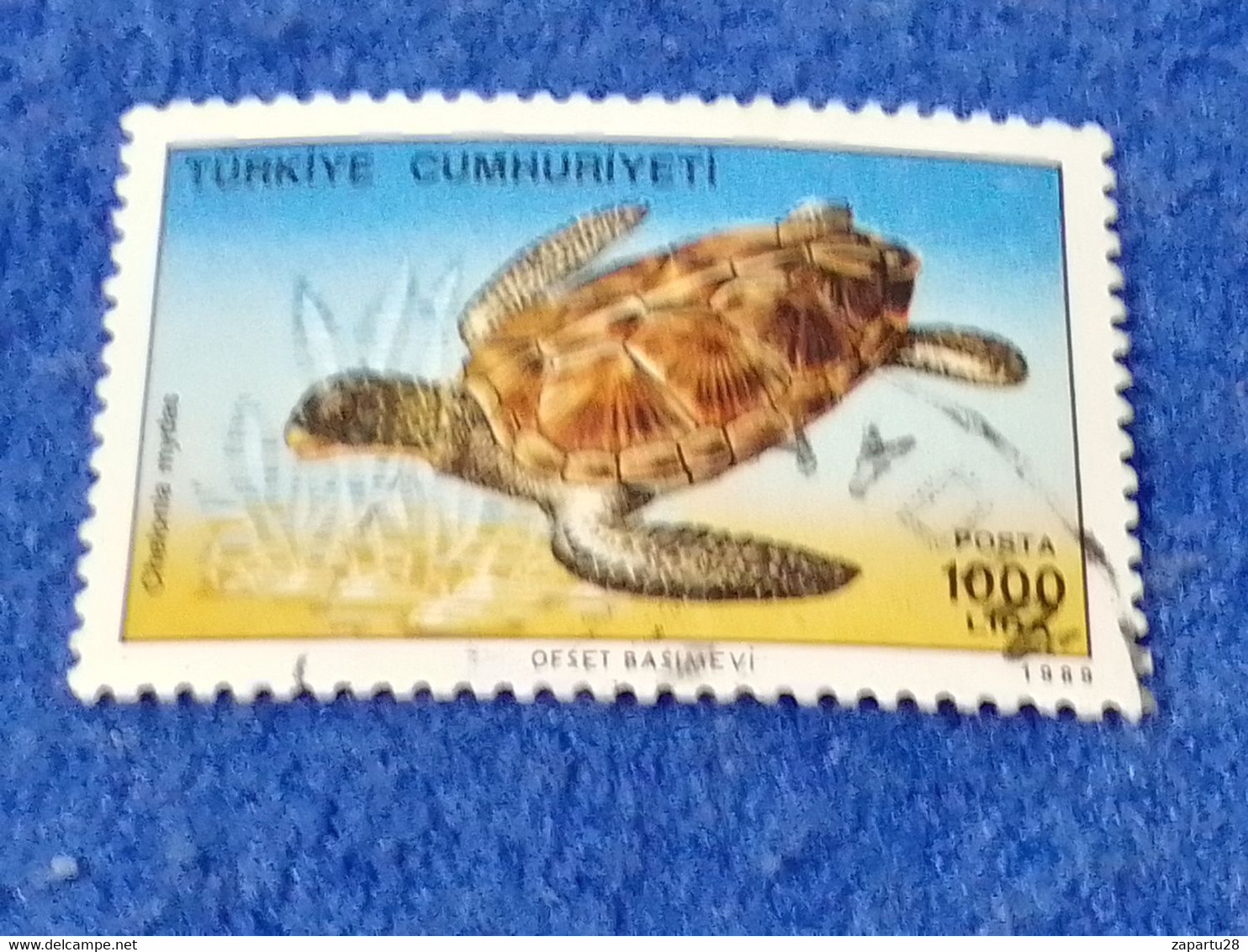 TÜRKEY--1980- 90  -  1000TL      DAMGALI - Usados