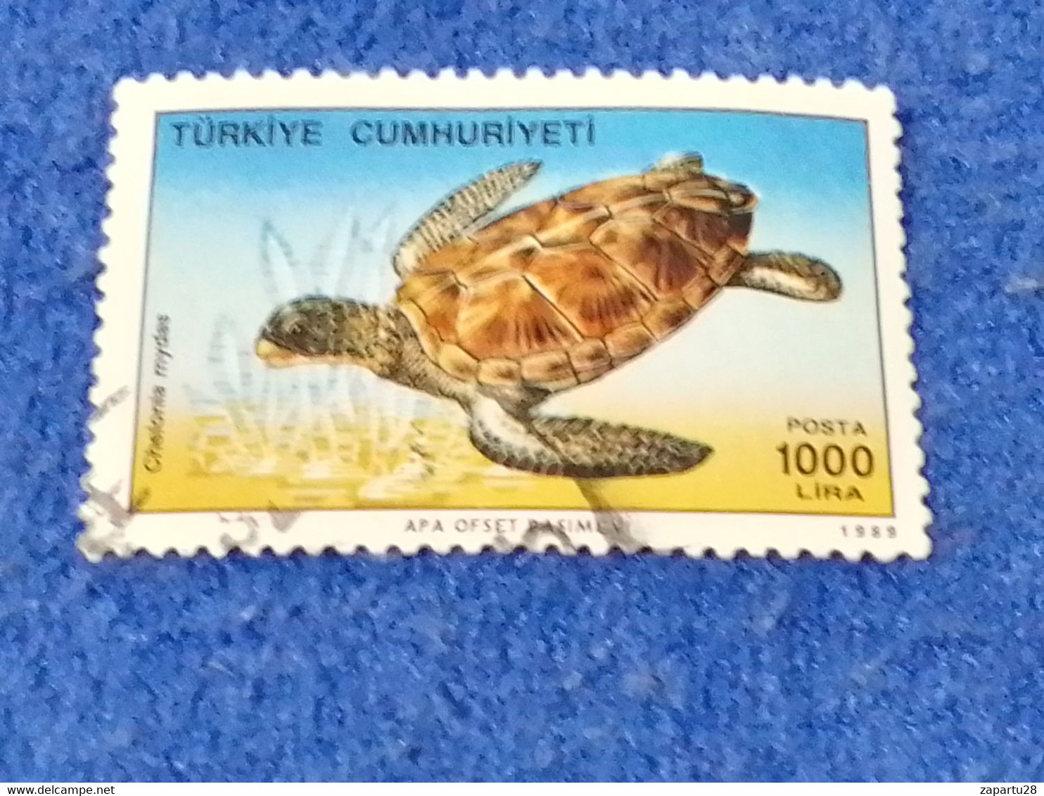 TÜRKEY--1980- 90  -  1000TL      DAMGALI - Used Stamps