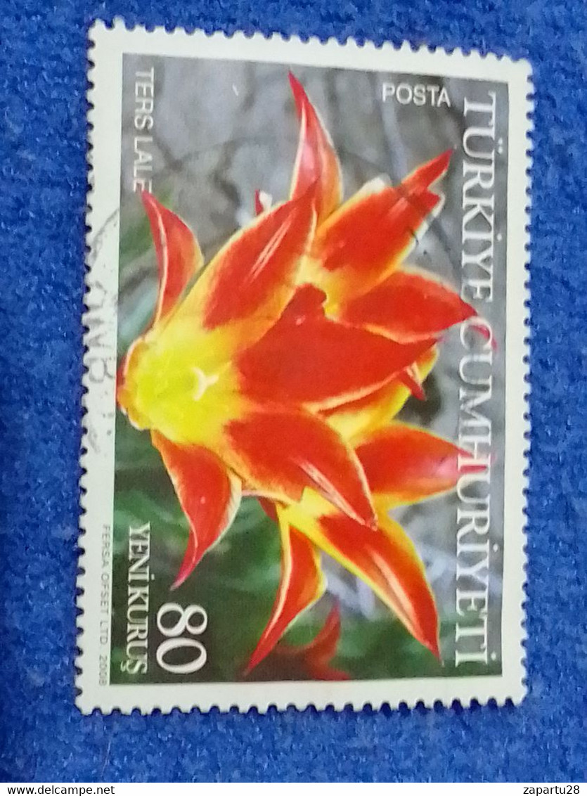 TÜRKEY--2010- 20  -80K DAMGALI - Used Stamps