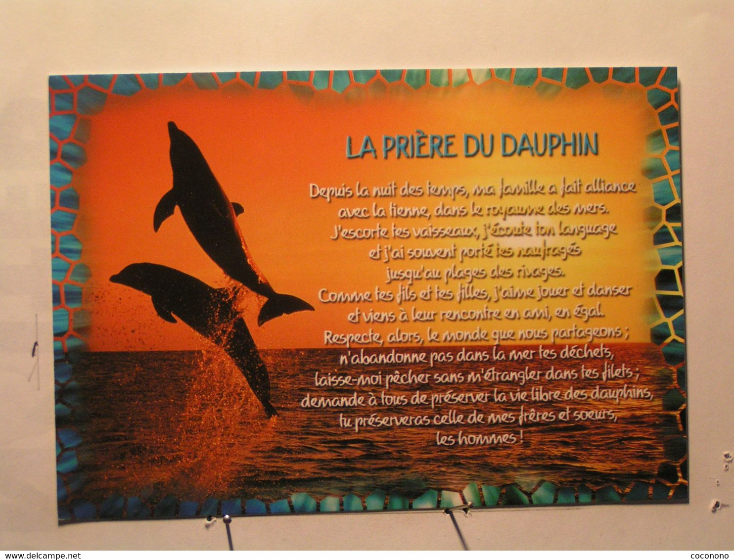 Animaux & Faune > Dauphins - La Prière Du Dauphin - Dauphins