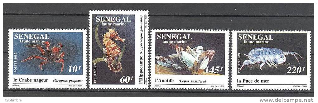 Sénégal: Yvert N°826/9**; Crabe; Hippocampe; Anatife; Puce De Mer - Sénégal (1960-...)