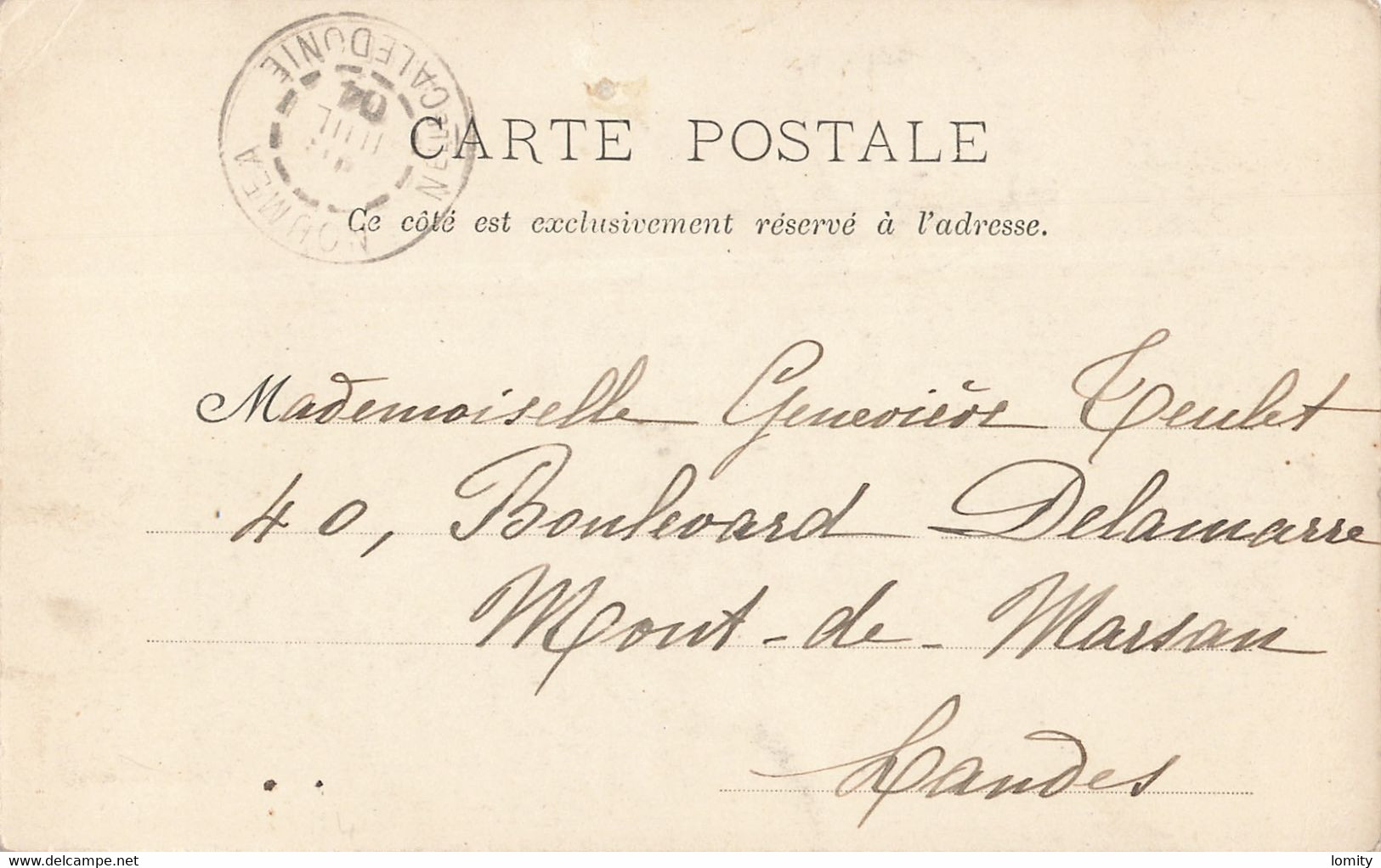 Nouvelle Calédonie Et Dépendances Timbre Sur Carte Postale Cachet 1904 , Plantation De Cocotiers - Cartas & Documentos