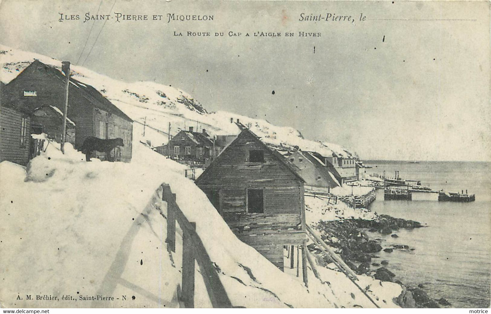 SAINT PIERRE ET MIQUELON - La Route Du Cap à L'Aigle En Hiver. - Saint-Pierre-et-Miquelon