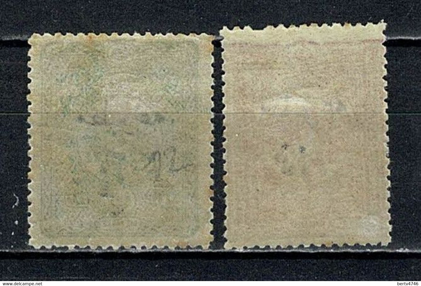 Turkiye Journaux 1894 Yv. 12/13* (2 Scans) MH Neuf Avec Trace De Charnière / Nieuw Met Plakkerspoor - Zeitungsmarken