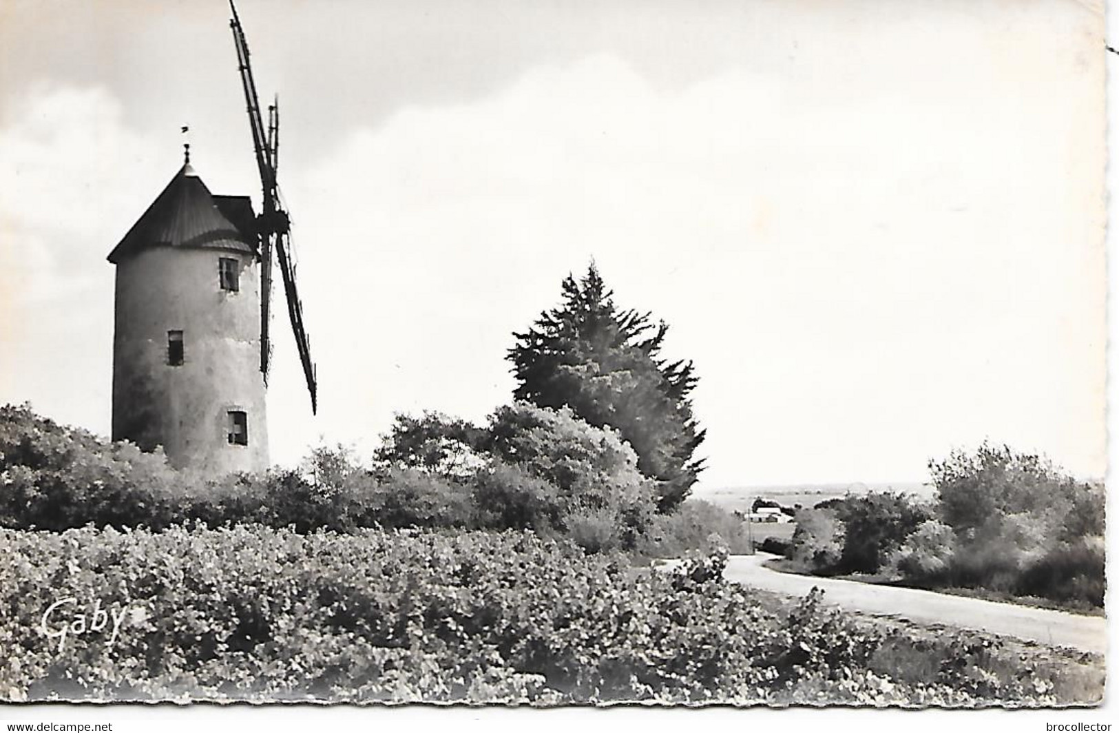 BOURGNEUF ( 44 ) - Moulin De L'Arzelier ( C.P.S.M. , Pt - Ft ) - Bourgneuf-en-Retz