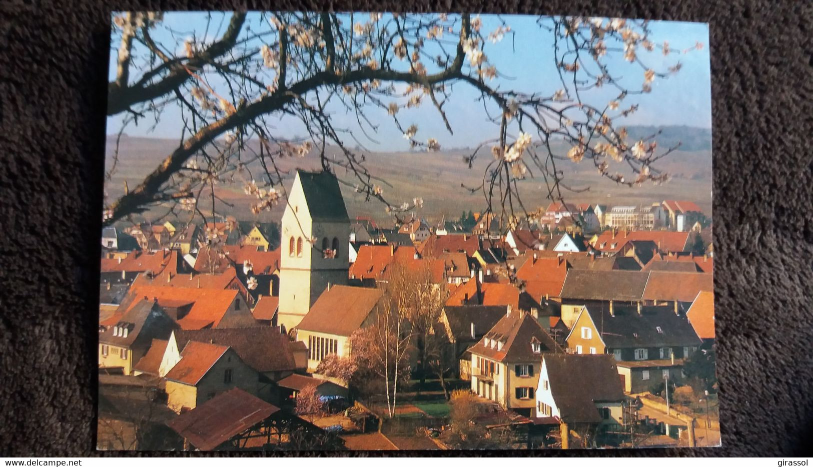 CPM ESPERANTO CENTRE DE MITTELWIHR SEMINAIRES CONGRES 195 1996 VIGNETTES AU DOS - Esperanto