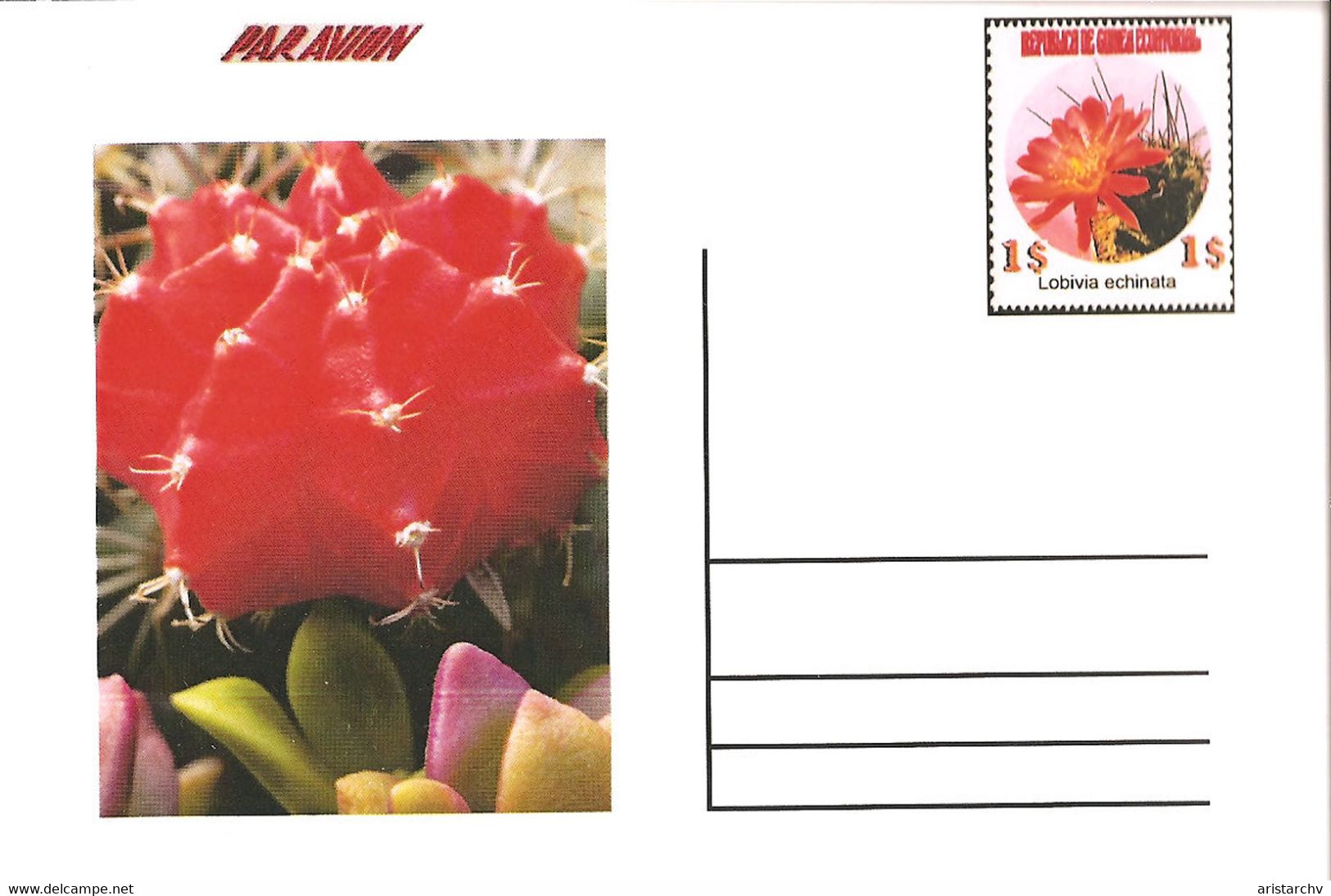 GUINEA ECUATORIAL FLOWER CACTUS 8 POST CARDS - Cactus