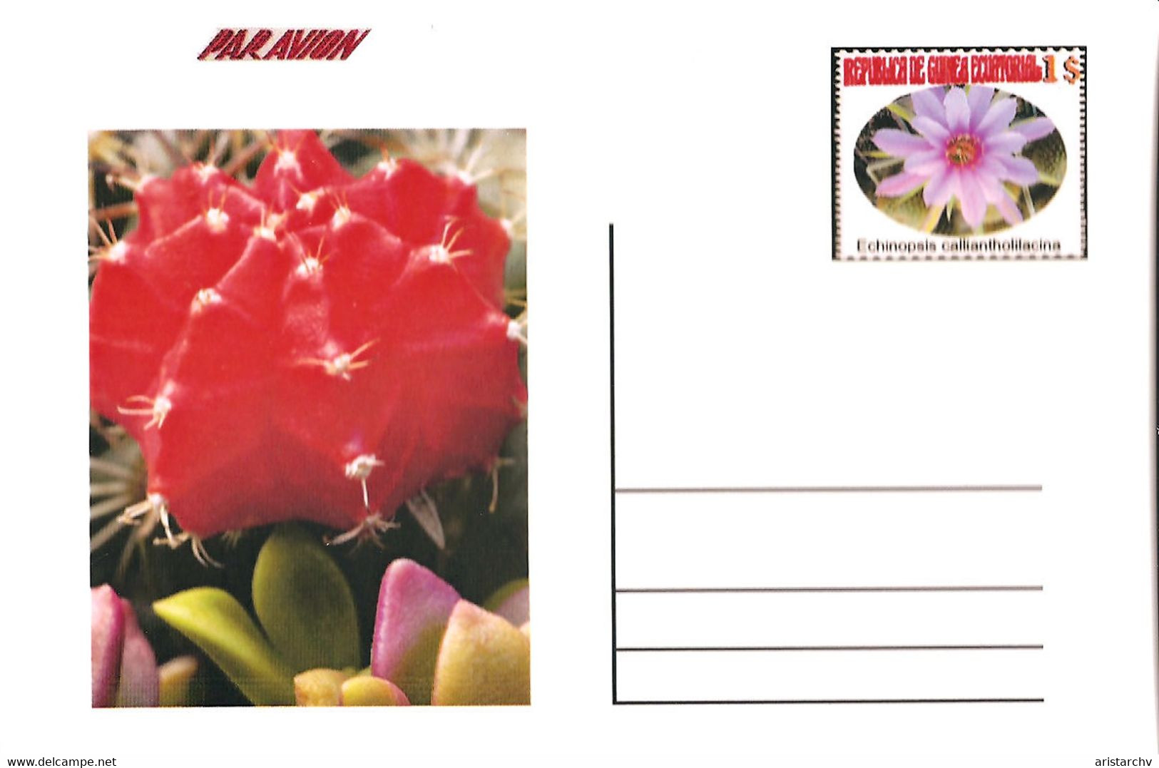 GUINEA ECUATORIAL FLOWER CACTUS 8 POST CARDS - Cactusses