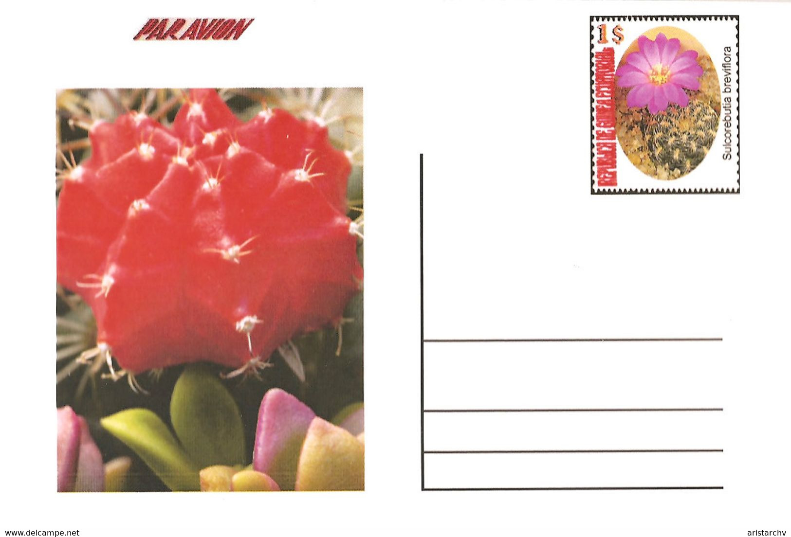 GUINEA ECUATORIAL FLOWER CACTUS 8 POST CARDS