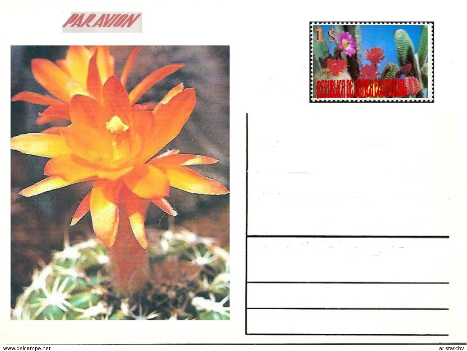 GUINEA ECUATORIAL FLOWER CACTUS 13 POST CARDS - Cactus