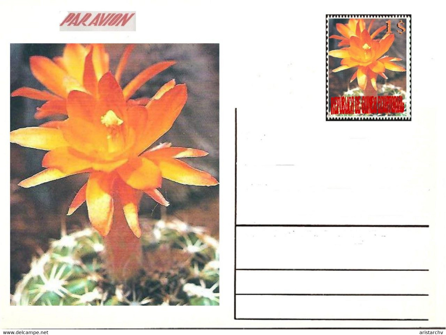 GUINEA ECUATORIAL FLOWER CACTUS 13 POST CARDS - Cactus