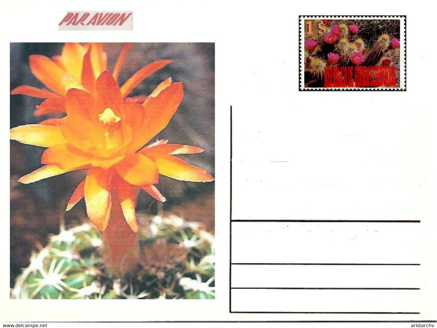 GUINEA ECUATORIAL FLOWER CACTUS 13 POST CARDS - Cactusses