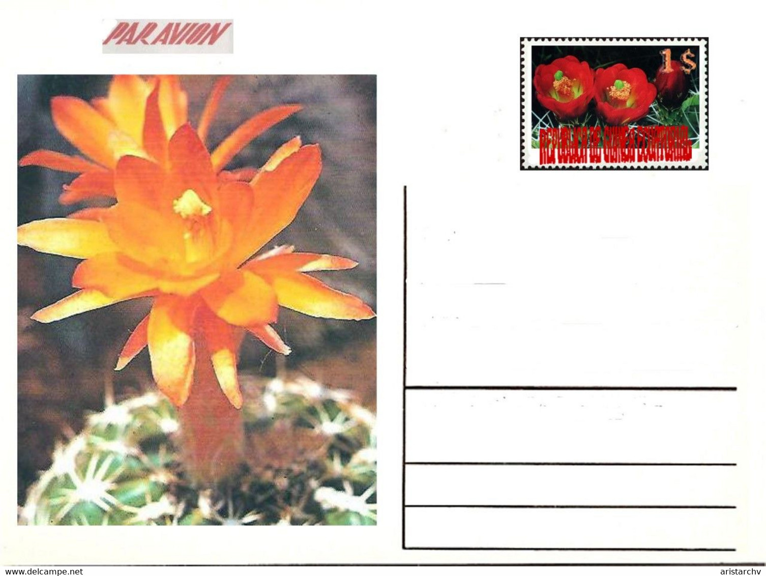GUINEA ECUATORIAL FLOWER CACTUS 13 POST CARDS