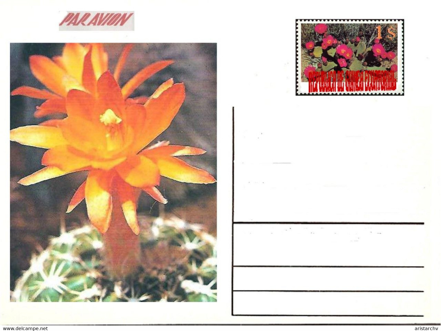 GUINEA ECUATORIAL FLOWER CACTUS 13 POST CARDS