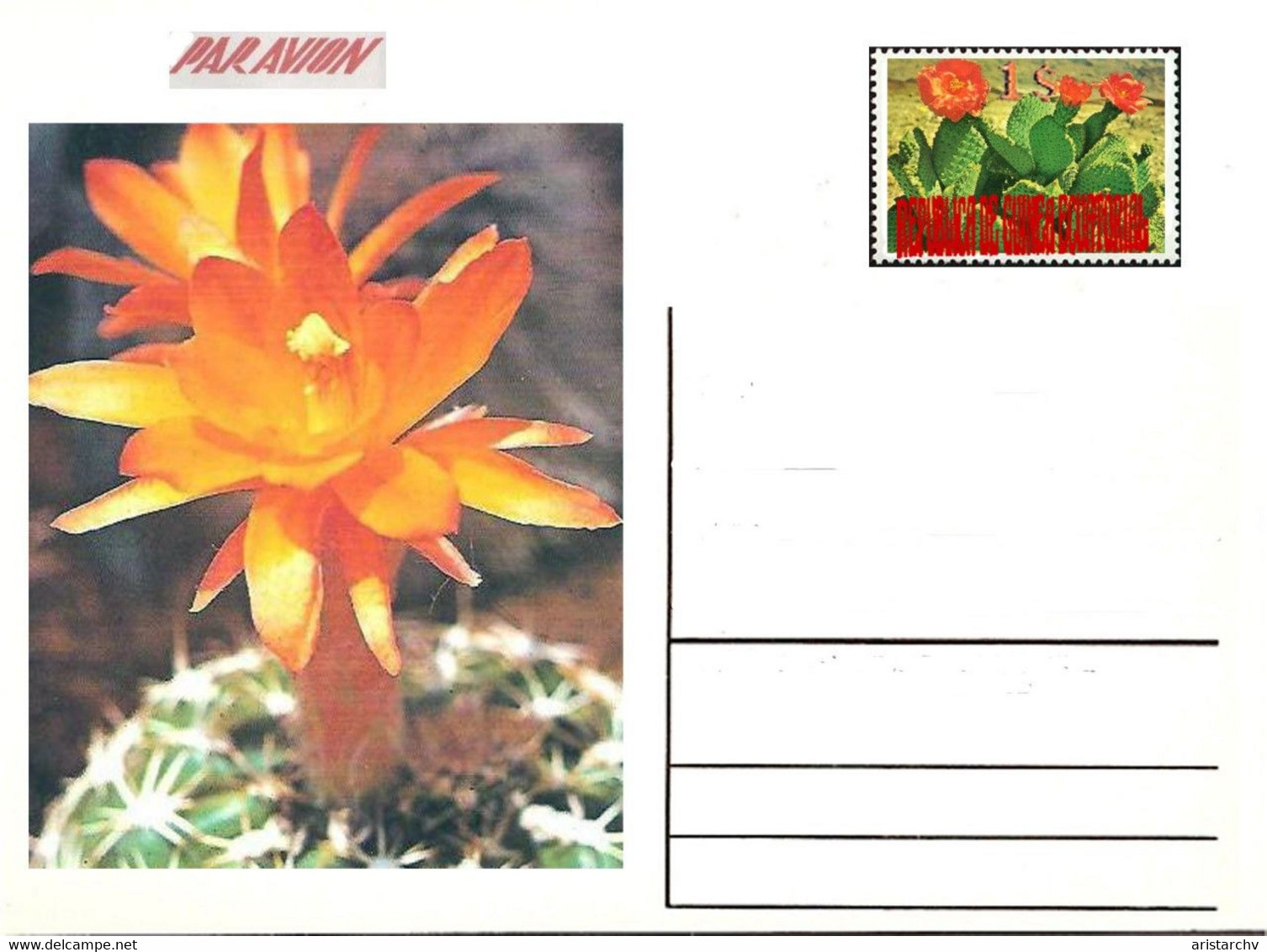 GUINEA ECUATORIAL FLOWER CACTUS 13 POST CARDS