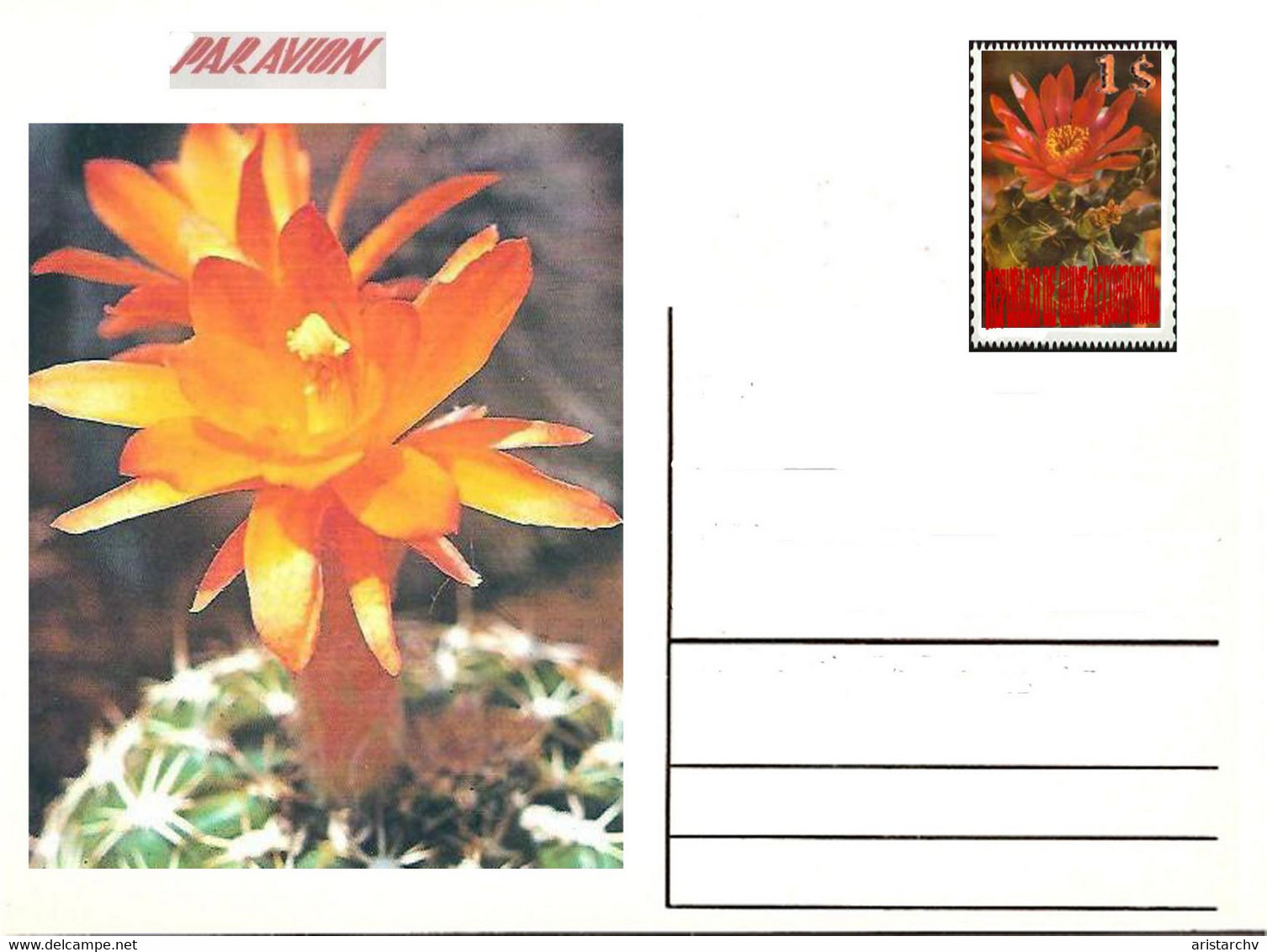 GUINEA ECUATORIAL FLOWER CACTUS 13 POST CARDS