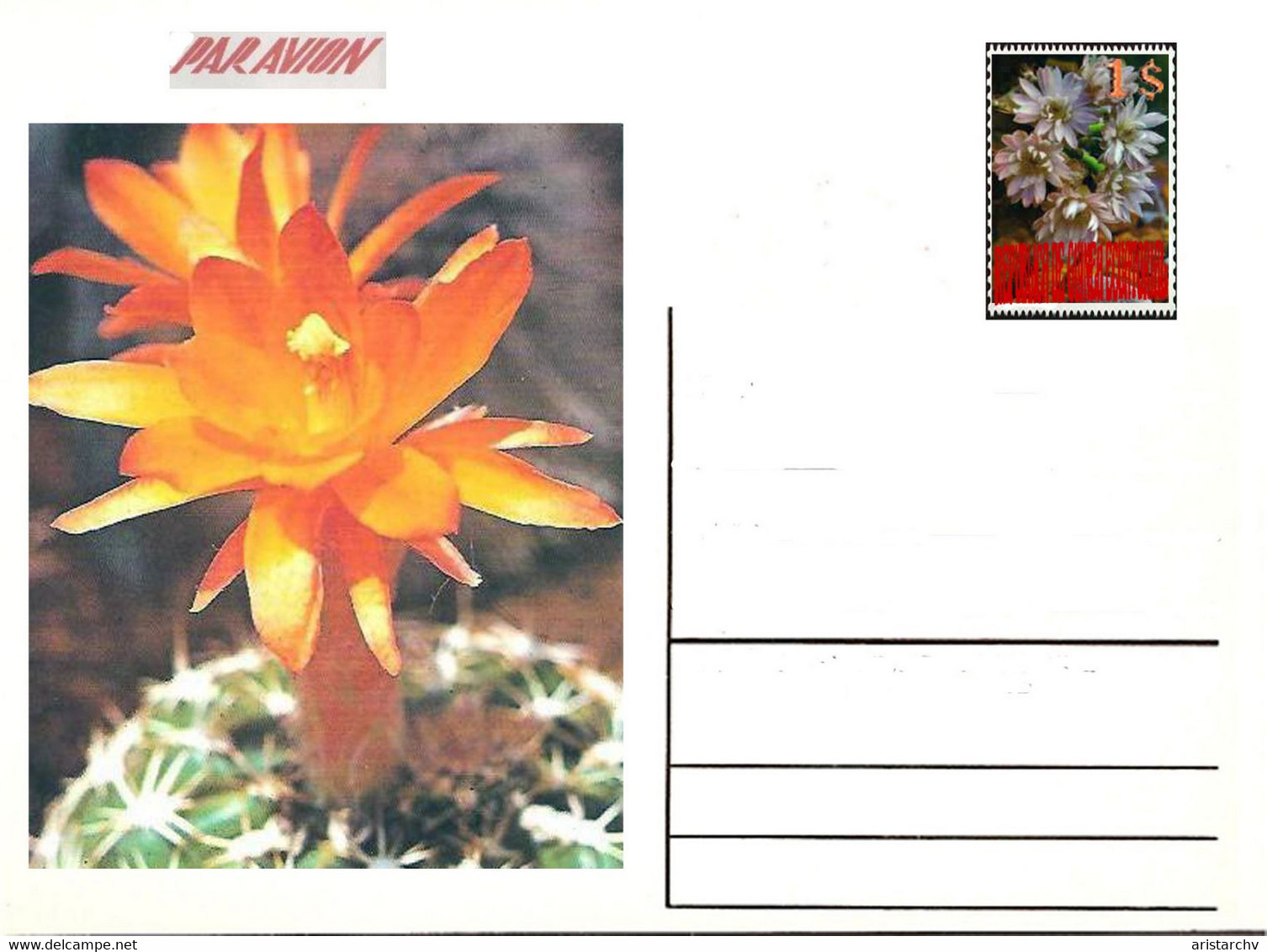 GUINEA ECUATORIAL FLOWER CACTUS 13 POST CARDS