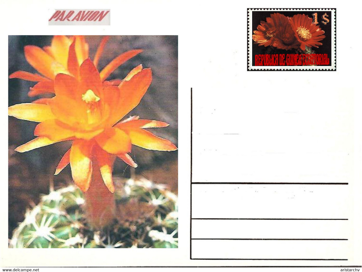 GUINEA ECUATORIAL FLOWER CACTUS 13 POST CARDS