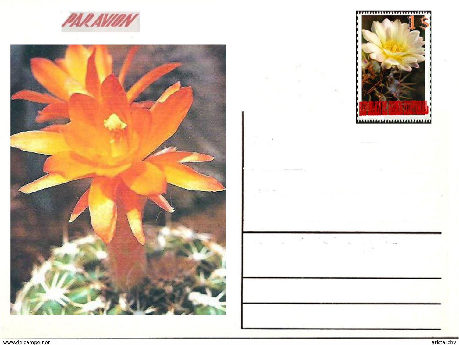 GUINEA ECUATORIAL FLOWER CACTUS 13 POST CARDS