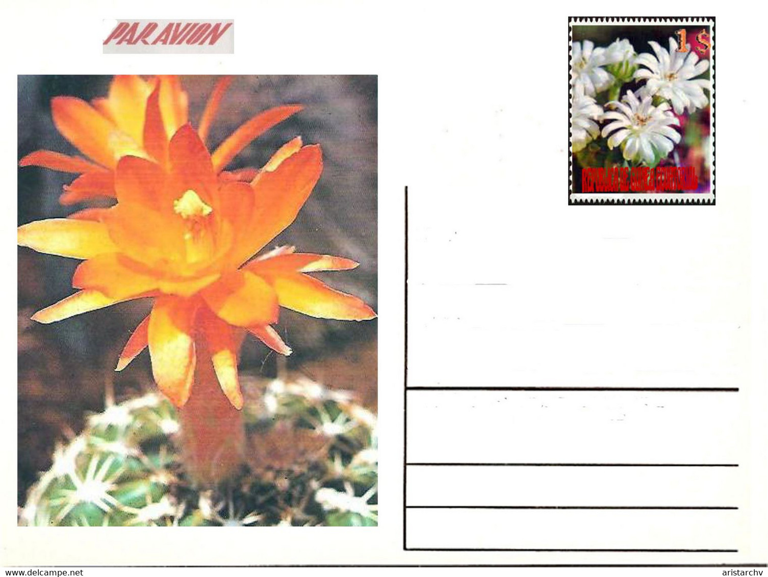 GUINEA ECUATORIAL FLOWER CACTUS 13 POST CARDS