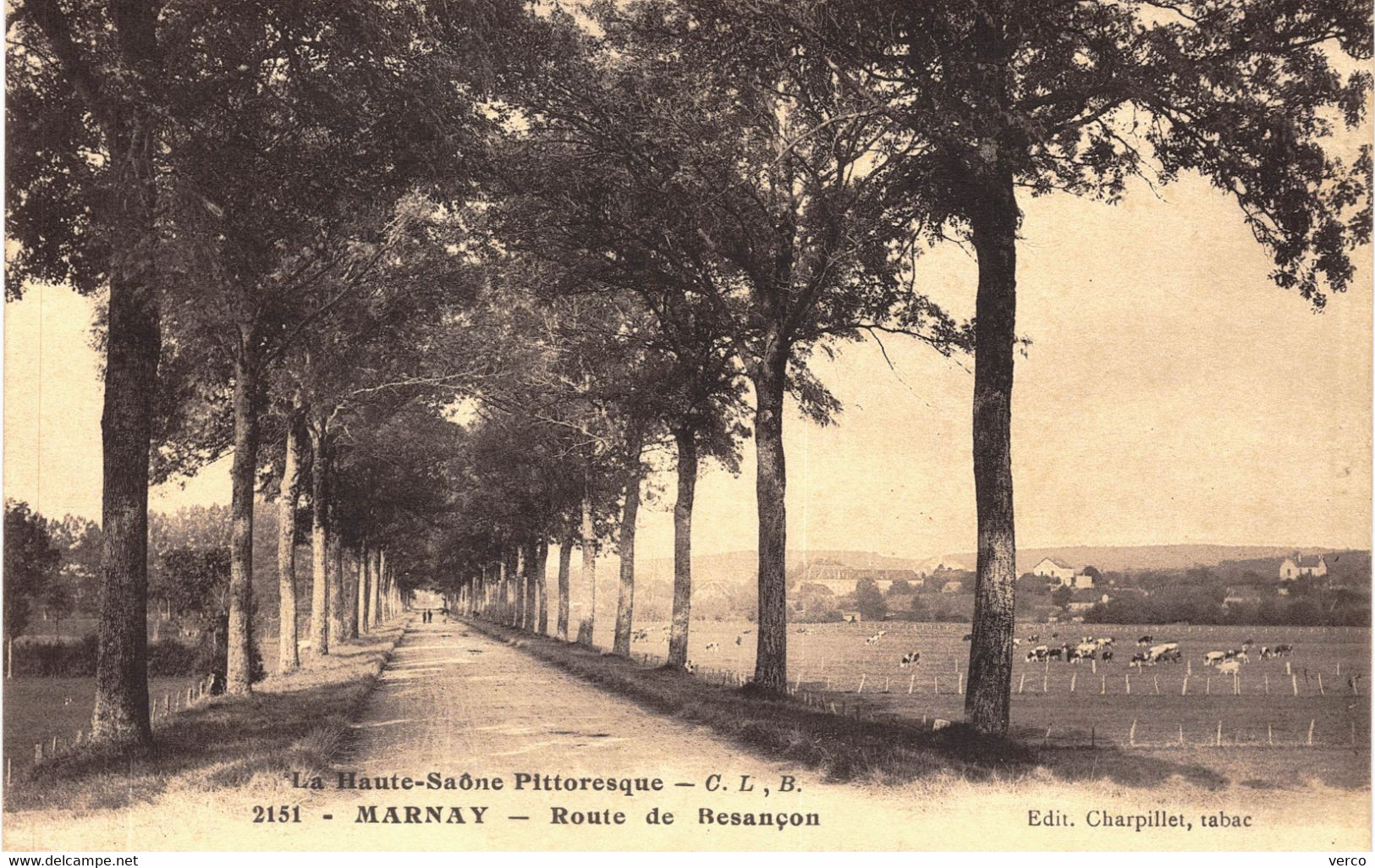 Carte POSTALE  Ancienne De MARNAY - Route De Besançon - Marnay