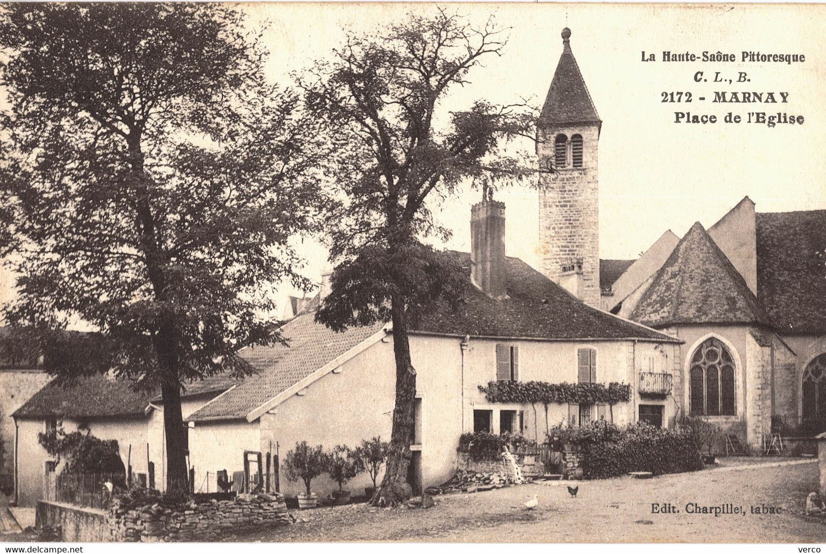 Carte POSTALE  Ancienne De MARNAY - Place De L'Eglise - Marnay