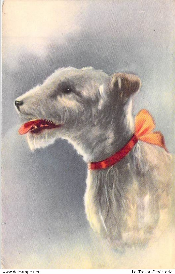 Fantaisies - Chien Avec Un Noeud - Edit. Color - Colorisé - Oblitéré Liège 1950 - Carte Postale Ancienne - Animaux Habillés