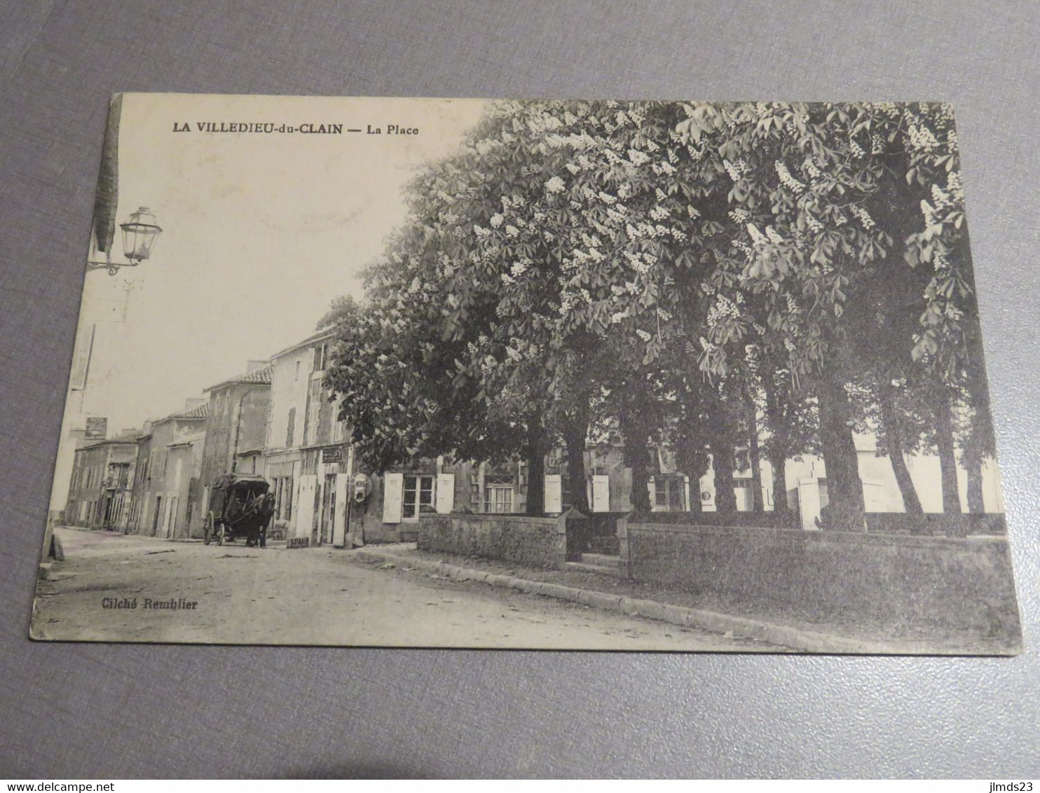 LA VILLEDIEU DU CLAIN, VIENNE, LA PLACE, CPA - La Villedieu Du Clain