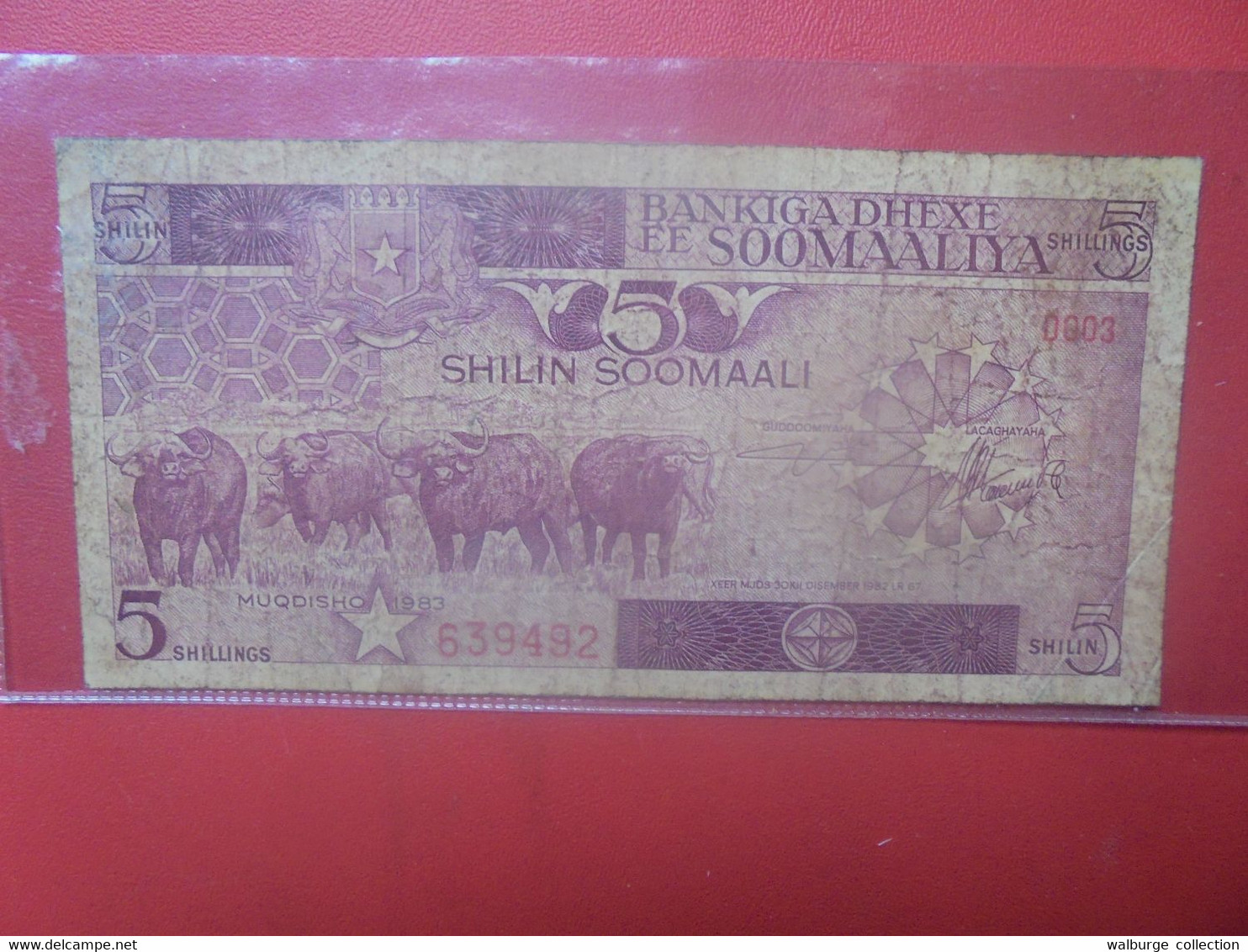 SOMALIE 50 SHILIN 1983 Circuler (L.17) - Somalia