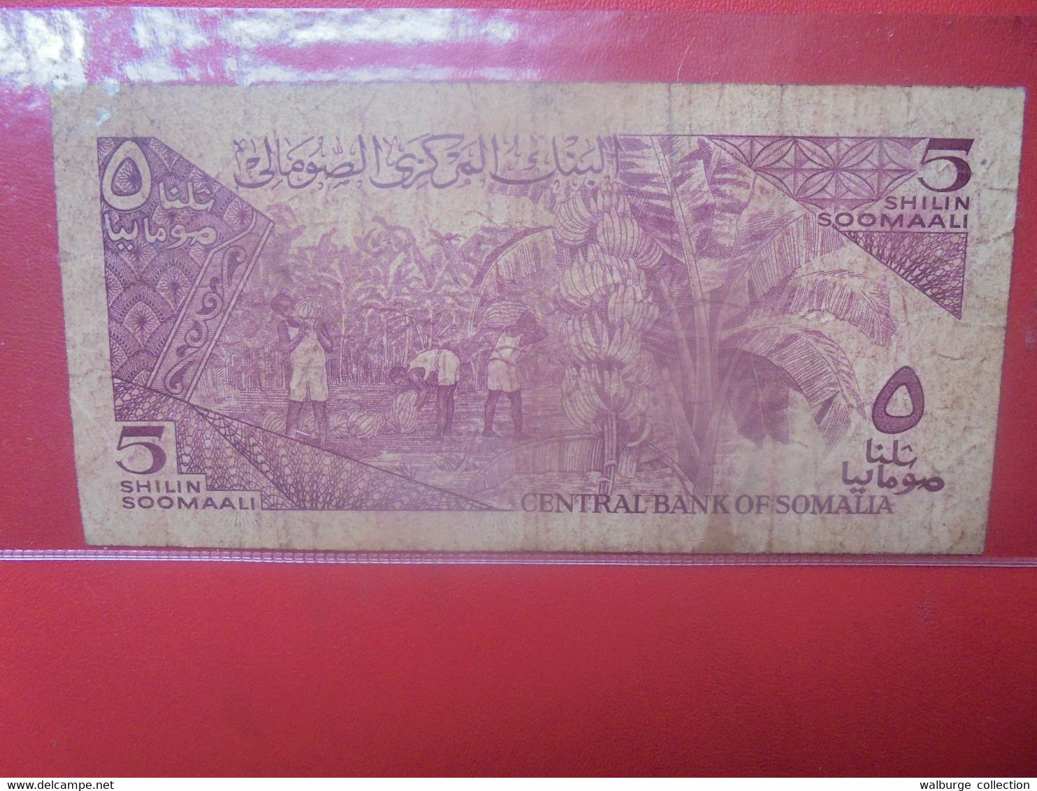 SOMALIE 50 SHILIN 1983 Circuler (L.17) - Somalia