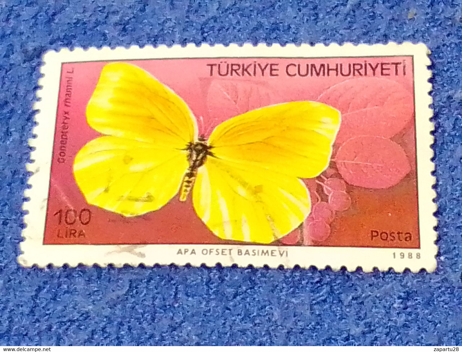 TÜRKEY--1970-80 -   100L   DAMGALI - Used Stamps