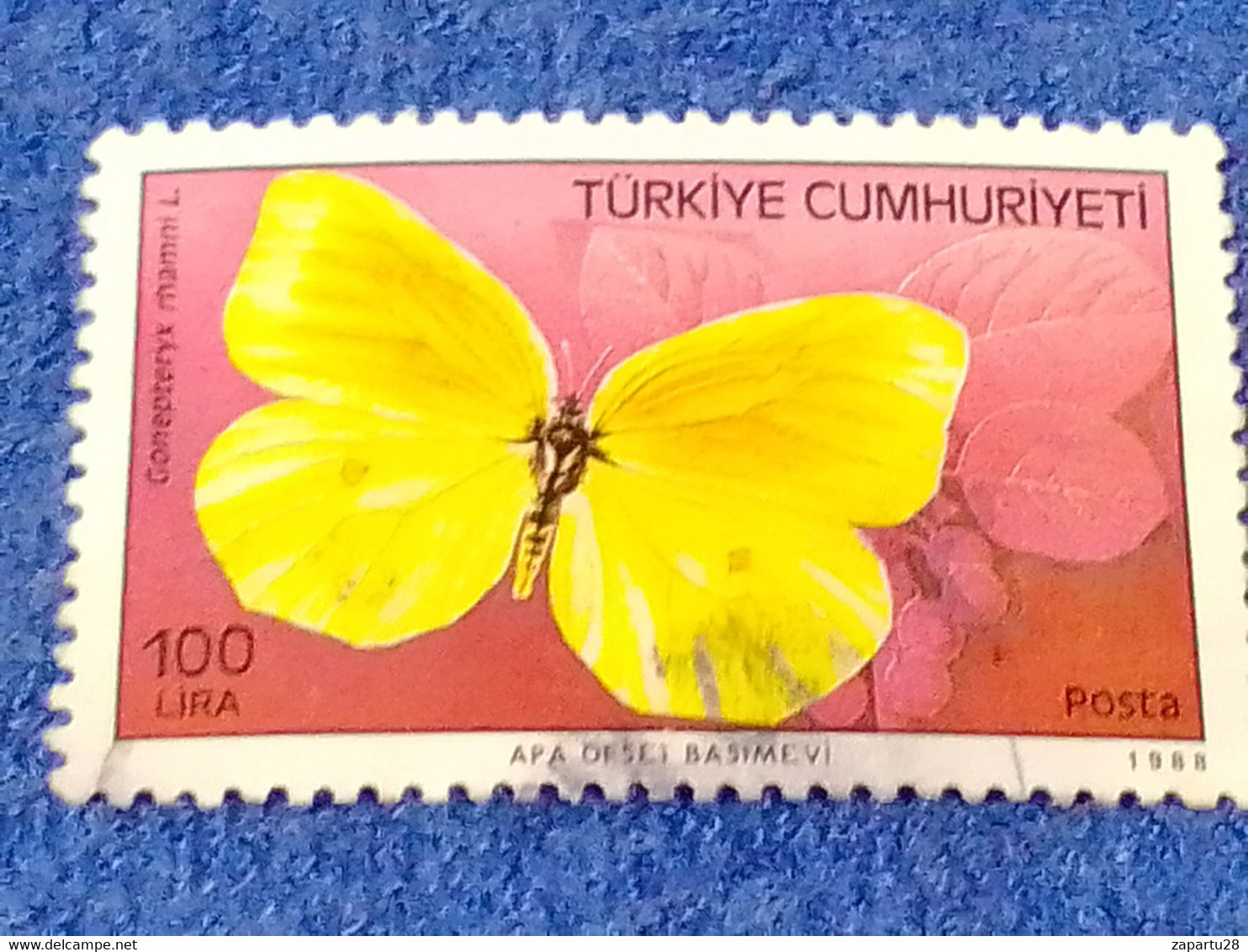 TÜRKEY--1970-80 -   100L   DAMGALI - Used Stamps