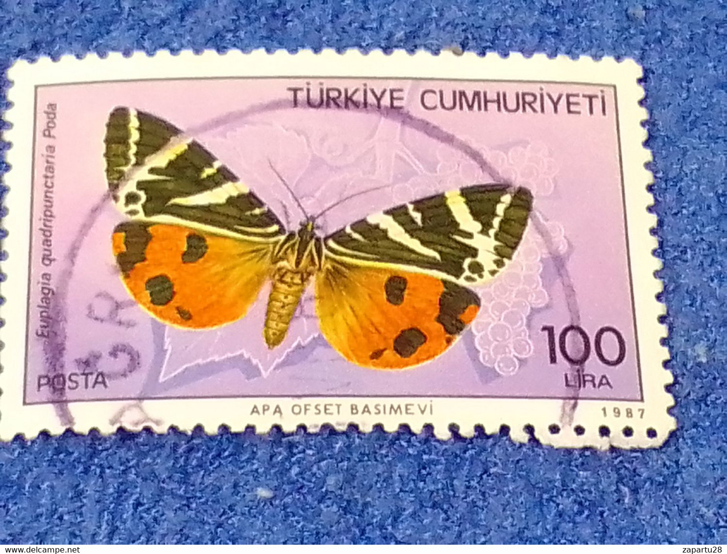 TÜRKEY--1980-90 -   100L   DAMGALI - Used Stamps