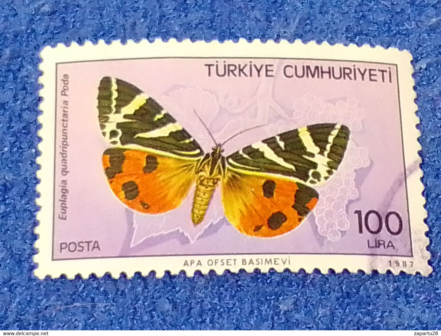 TÜRKEY--1980-90 -   100L   DAMGALI - Usados