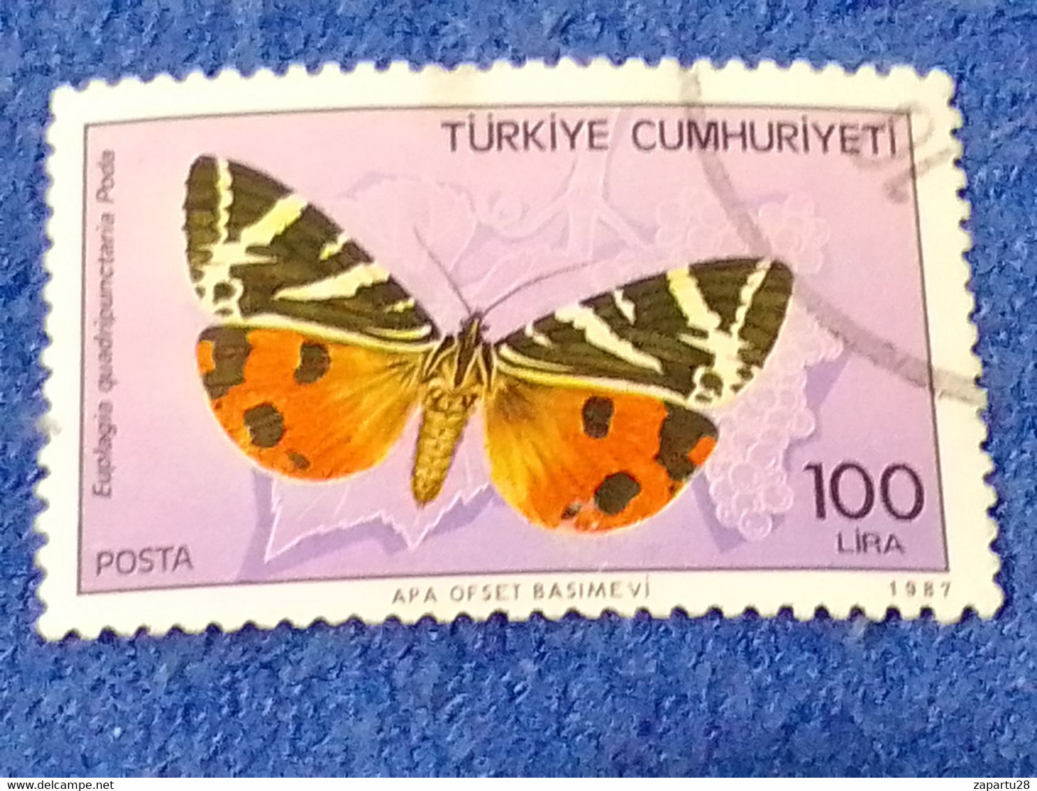 TÜRKEY--1980-90 -   100L   DAMGALI - Usados