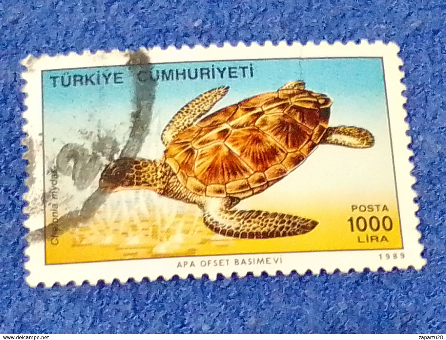 TÜRKEY--1980-90 -   1000L   DAMGALI - Usati