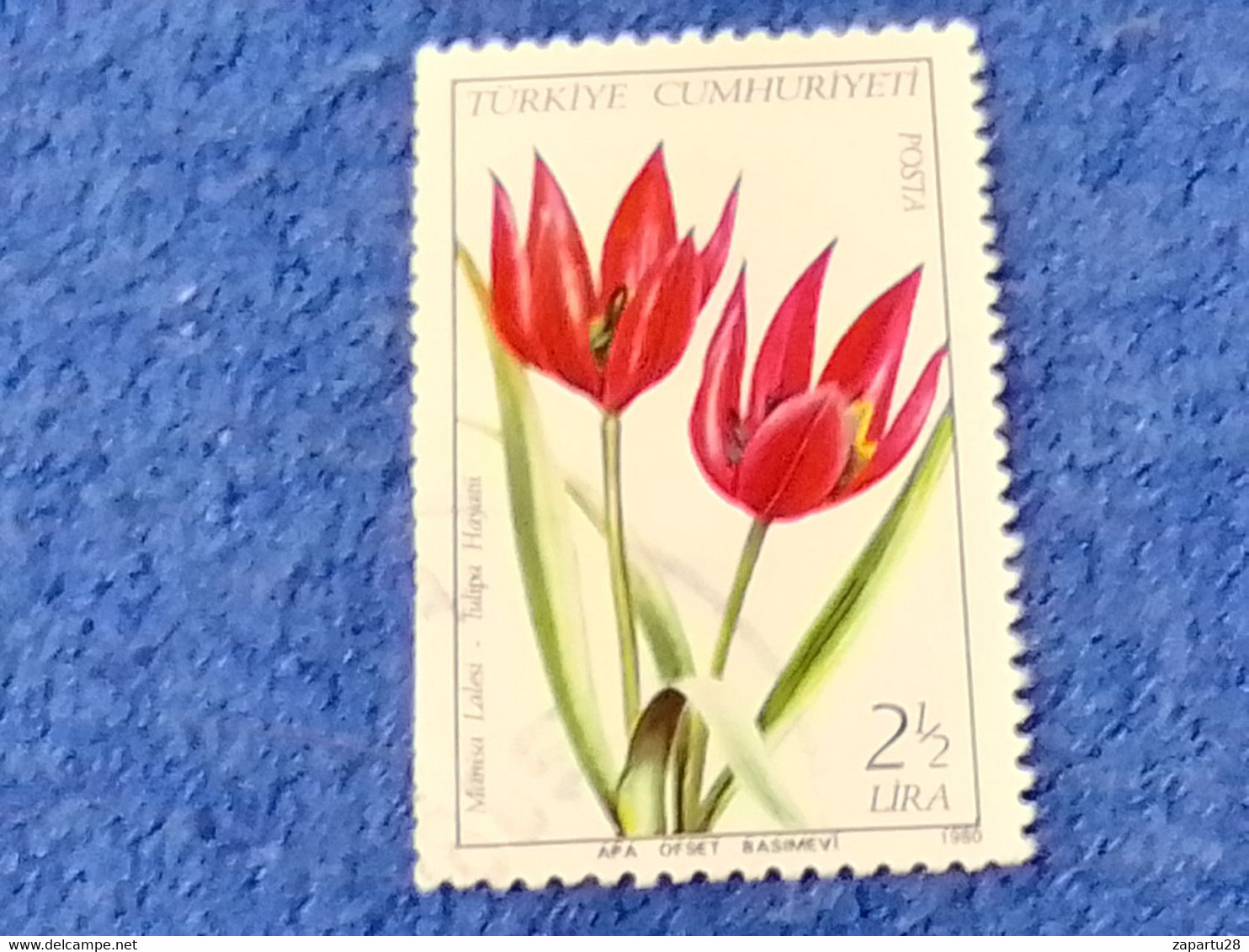 TÜRKEY--1980-90 -    2.50L   DAMGALI - Used Stamps