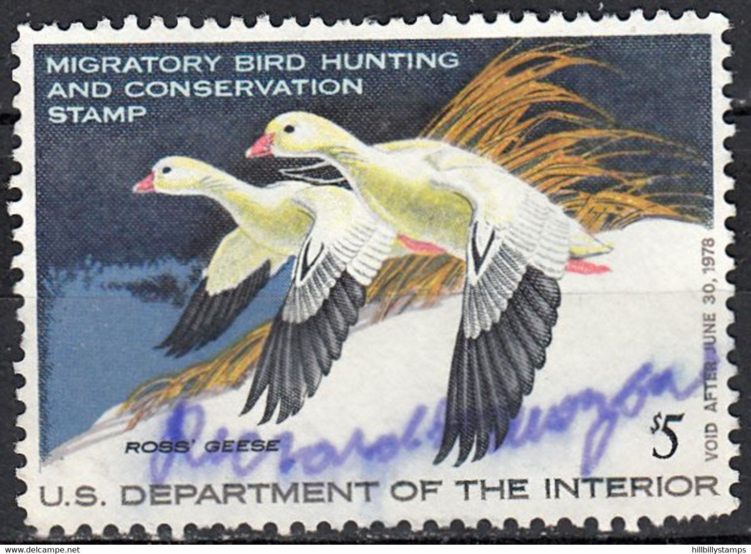 UNITED STATES  SCOTT NO RW44  USED    YEAR  1977  DISCOUNTED IN PRICE FOR SHORT PERFS L.R. CORNER - Duck Stamps