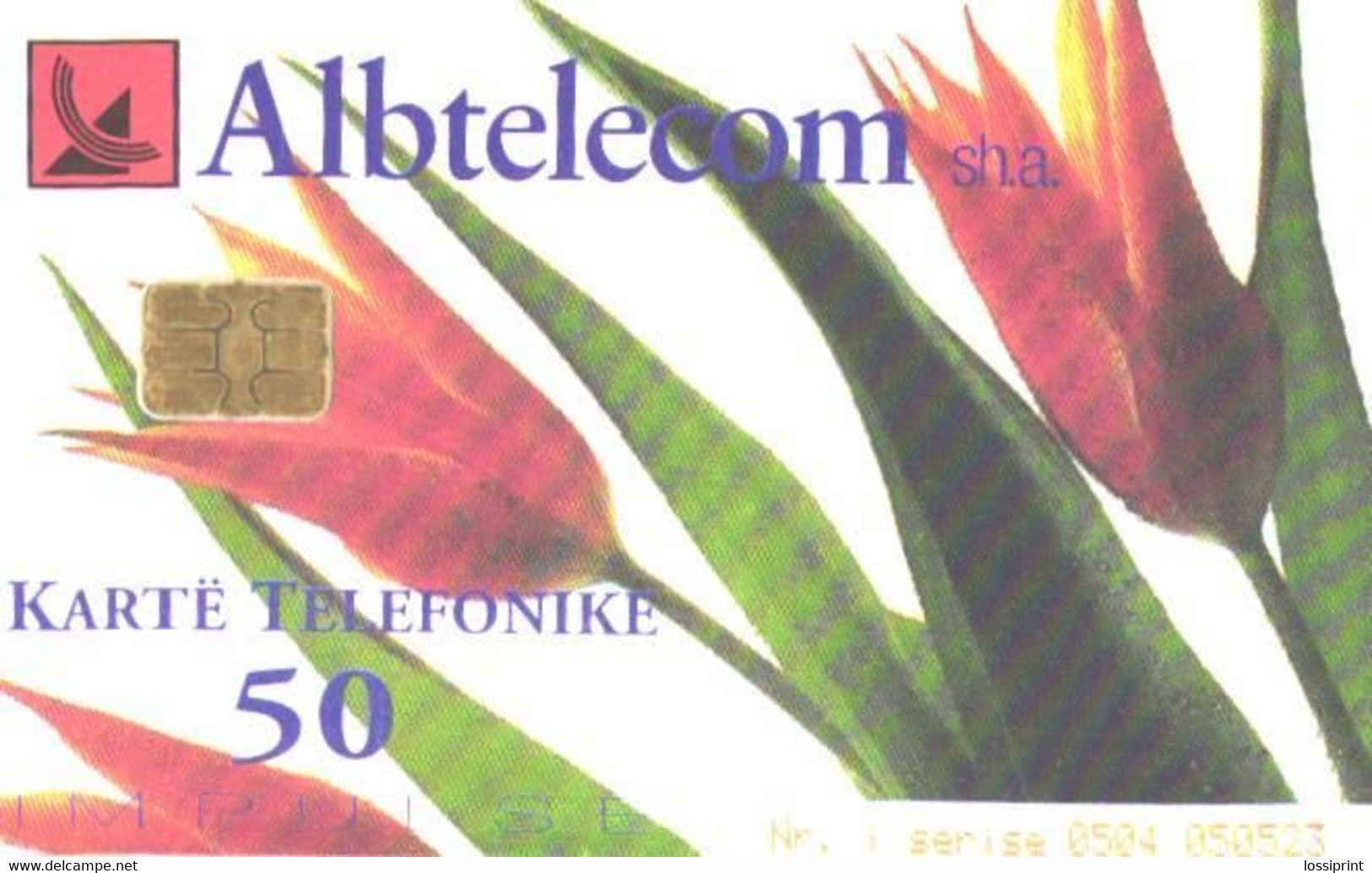 Albania:Used Phonecard, Albtelecom, 50 Impulses, Flowers, 2001 - Albanien