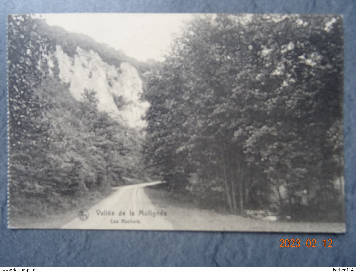 VALLEE DE LA MOLIGNEE  LES ROCHERS - Anhée