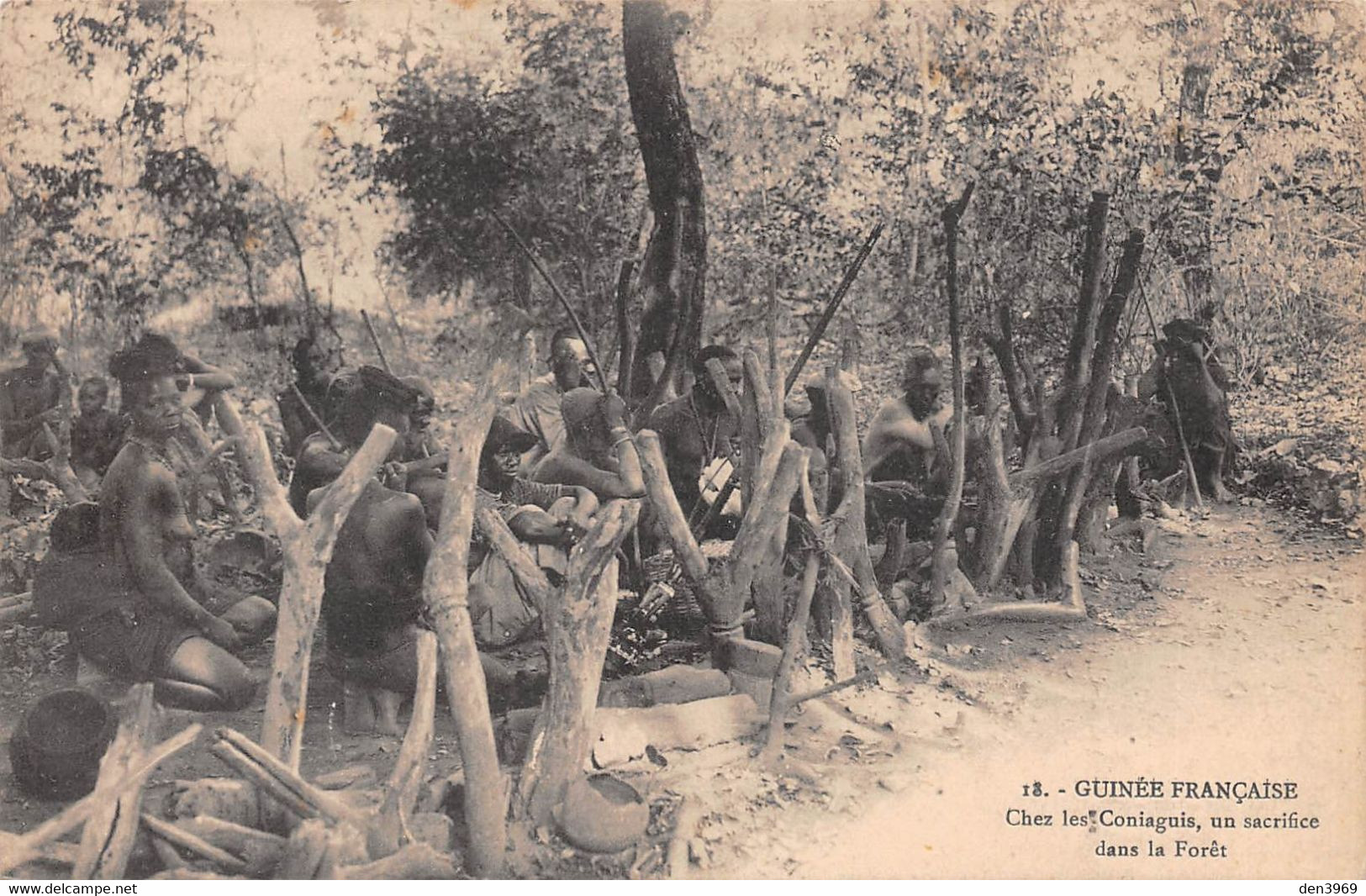 Afrique - GUINEE Française - Chez Les Coniaguis, Un Sacrifice Dans La Forêt - Guinée Française