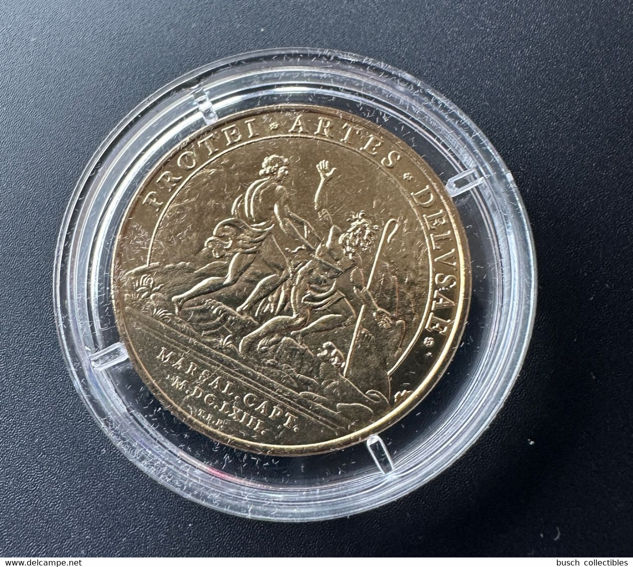 Monnaie De Paris 2009 Vic-sur-Seille Louis XIV Lvdovicvs Magnvs Fran Et Nav Rex - 2009