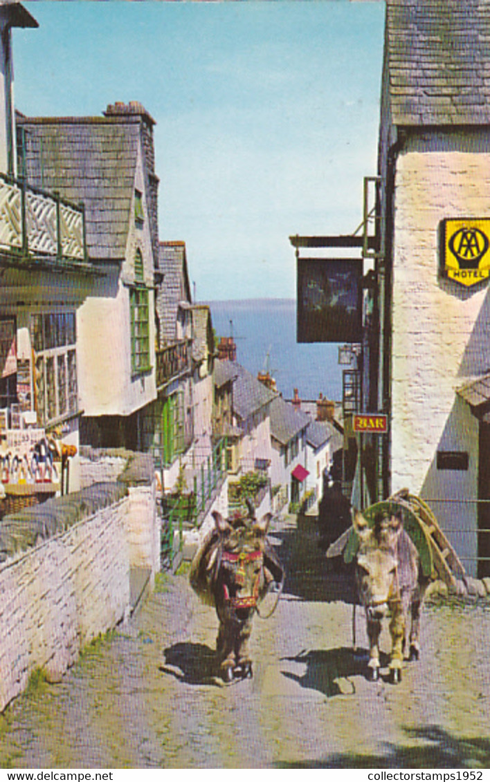 CLOVELLY DOWN A LONG VILLAGE STREET VIEW, DONKEYS - Clovelly